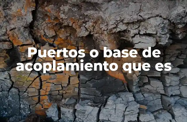 Puertos o Base de Acoplamiento que es