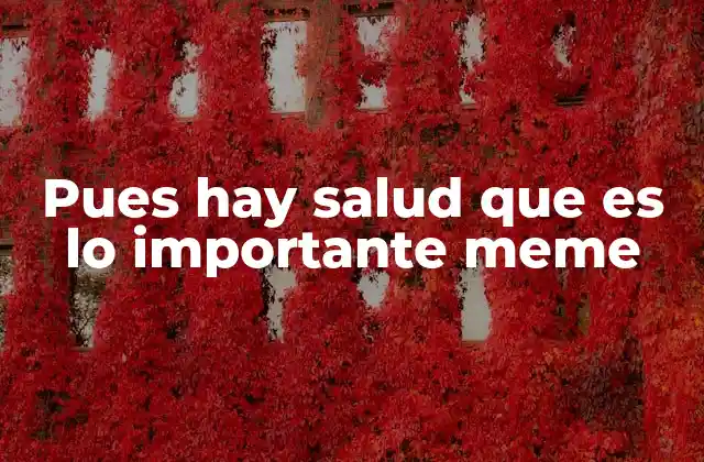Pues Hay Salud que es Lo Importante Meme 2 El meme como reflejo de valores culturales contemporáneos