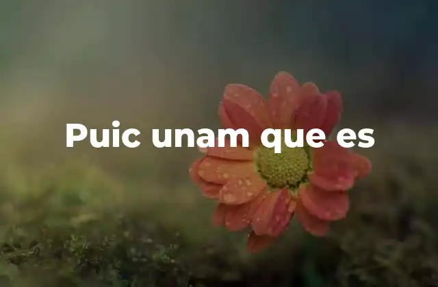 Puic Unam que es