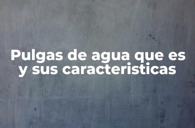 Pulgas de Agua que es y Sus Caracteristicas