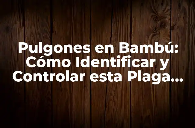 ¿Qué son los Pulgones en Bambú?