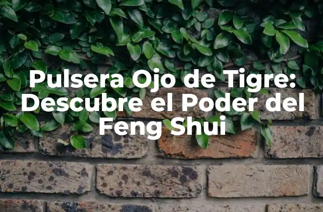 Orígenes y Significado de la Pulsera Ojo de Tigre