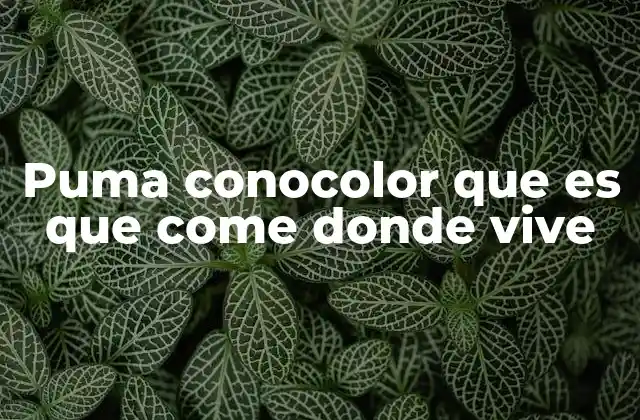 Características físicas y biológicas del puma conocolor