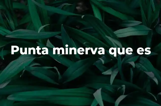 Punta Minerva que es 2 La importancia de las puntas de escritura en la experiencia del usuario