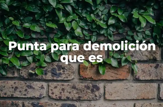 Punta para Demolición que es