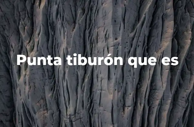 Punta Tiburón que es 2 El papel de la punta de tiburón en la gastronomía