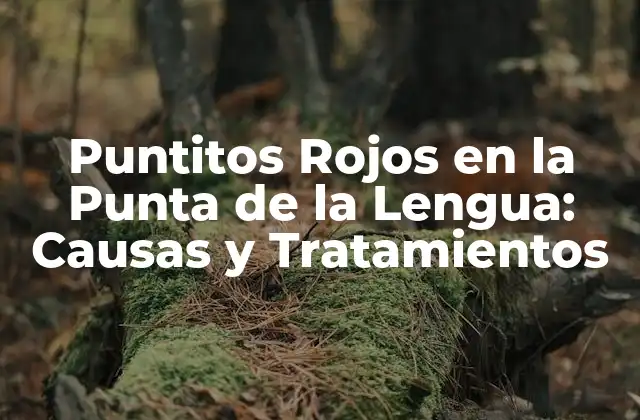 Puntitos Rojos en la Punta de la Lengua: Causas y Tratamientos