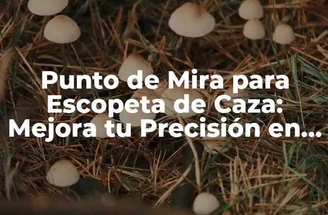 Punto de Mira para Escopeta de Caza: Mejora Tu Precisión en el Campo