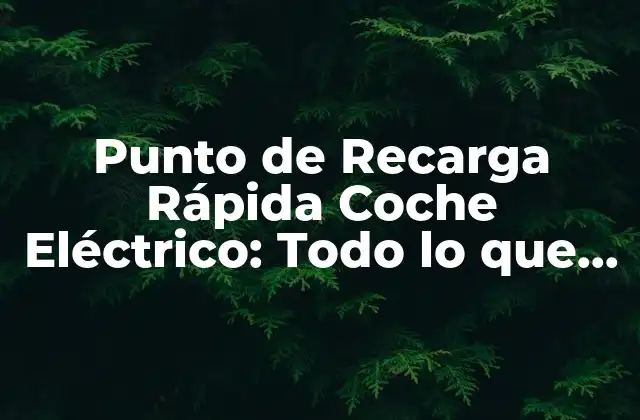Punto de Recarga Rápida Coche Eléctrico: Todo Lo que Necesitas Saber