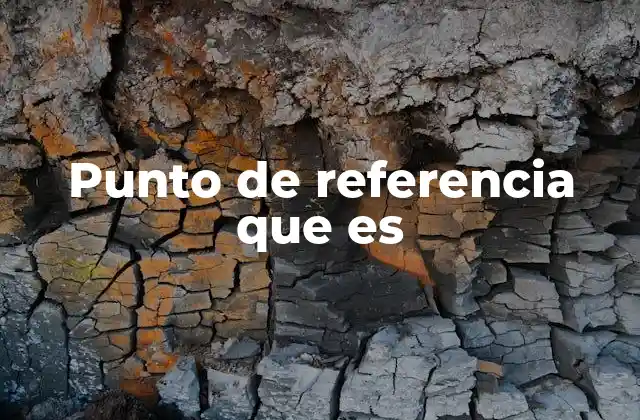 Punto de Referencia que es