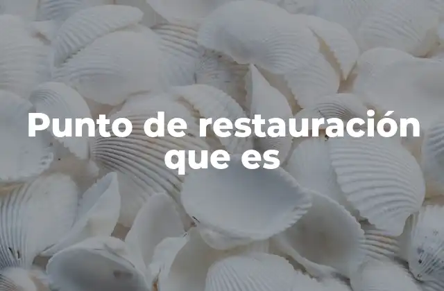 Punto de Restauración que es
