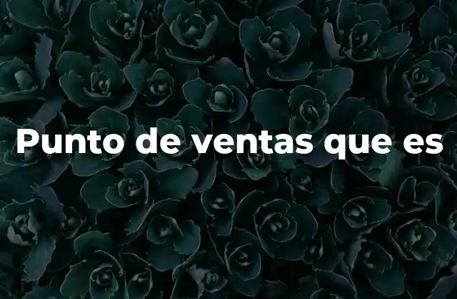 Punto de Ventas que es