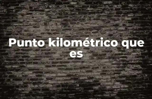 Punto Kilométrico que es