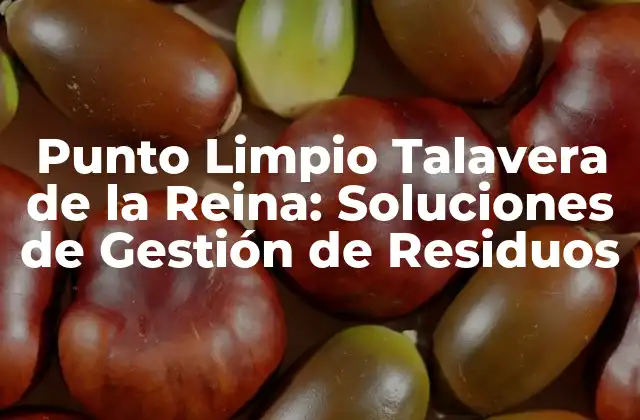 Punto Limpio Talavera de la Reina: Soluciones de Gestión de Residuos
