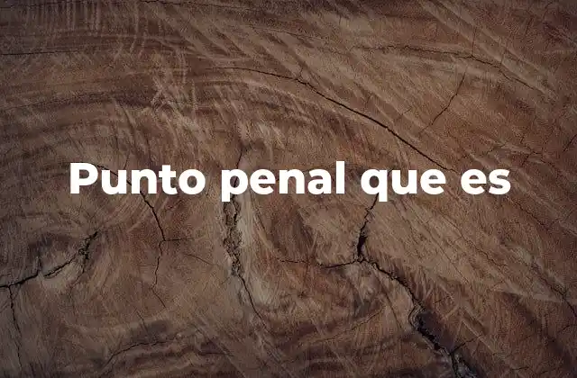 Punto Penal que es