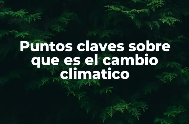 Puntos Claves sobre que es el Cambio Climatico