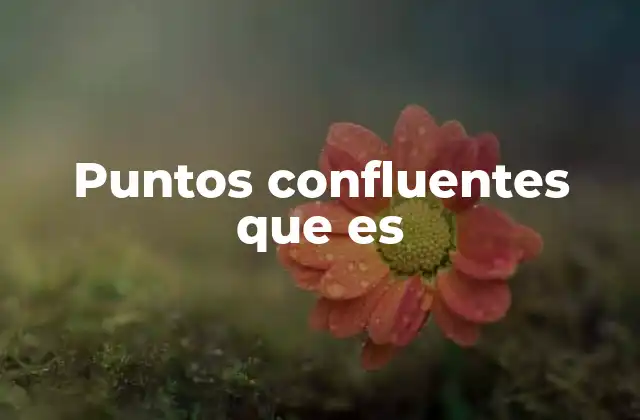 Puntos Confluentes que es