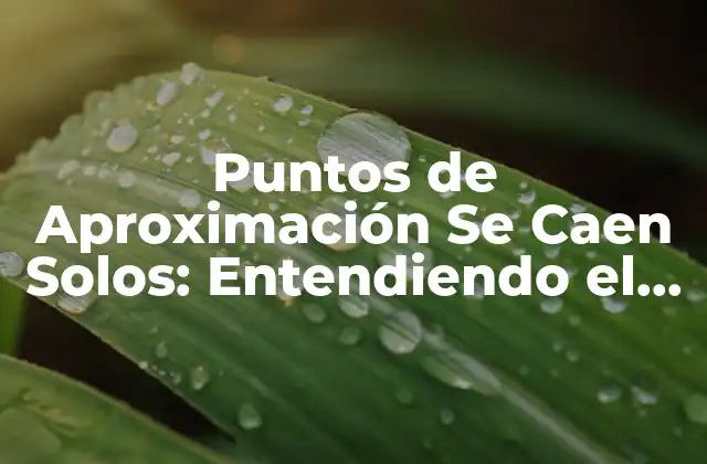 Puntos de Aproximación Se Caen Solos: Entendiendo el Concepto y Sus Implicaciones