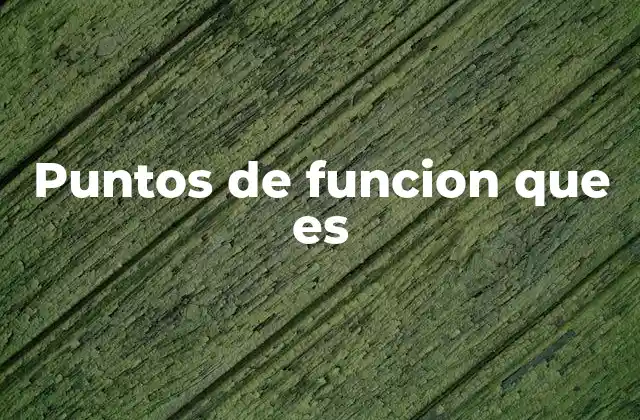 Puntos de Funcion que es 2 Cómo funciona el cálculo de puntos de función