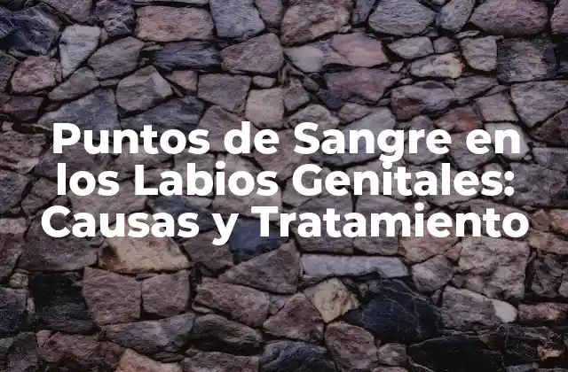 Puntos de Sangre en los Labios Genitales: Causas y Tratamiento