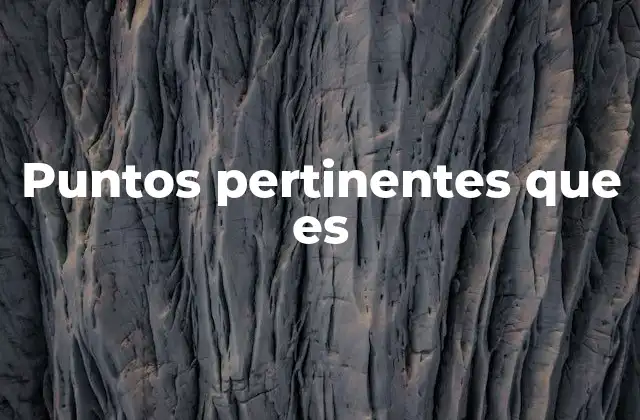 Puntos Pertinentes que es