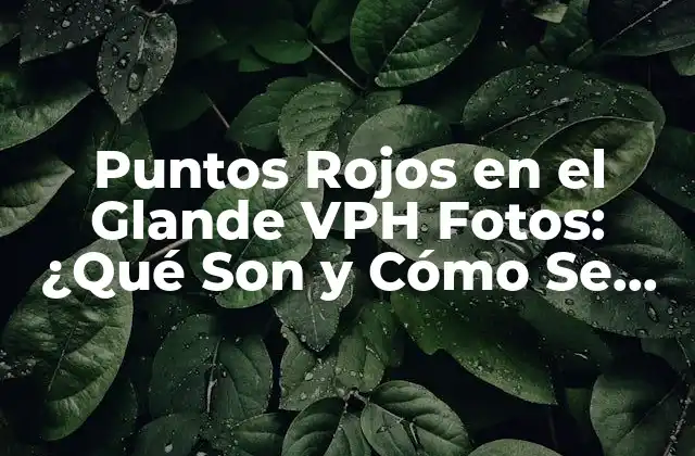 Puntos Rojos en el Glande Vph Fotos: ¿qué Son y Cómo Se Tratan?