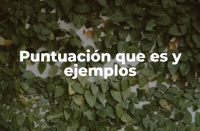Puntuación que es y Ejemplos