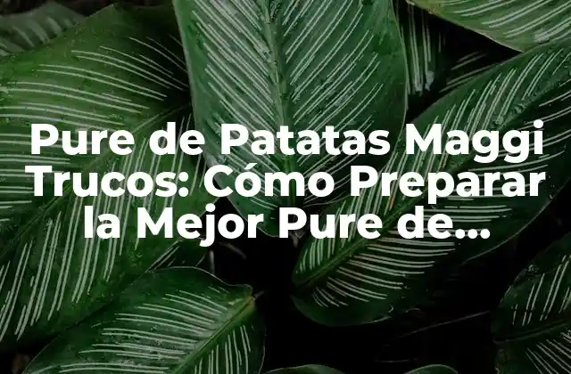 Pure de Patatas Maggi Trucos: Cómo Preparar la Mejor Pure de Patatas con Maggi