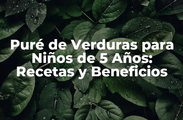 Puré de Verduras para Niños de 5 Años: Recetas y Beneficios