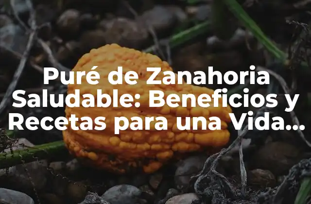 Puré de Zanahoria Saludable: Beneficios y Recetas para una Vida Más Sana