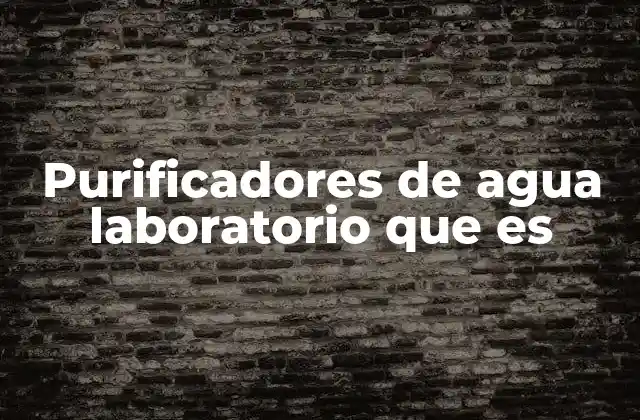 Purificadores de Agua Laboratorio que es