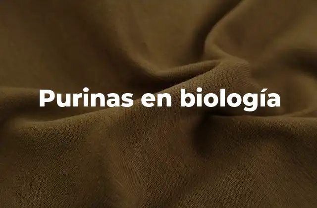 Purinas en Biología 2 La importancia de las purinas en la estructura molecular