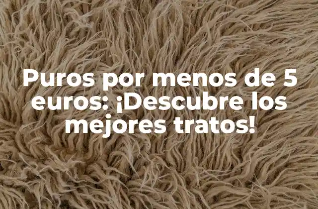 Puros por Menos de 5 Euros: ¡descubre los Mejores Tratos!