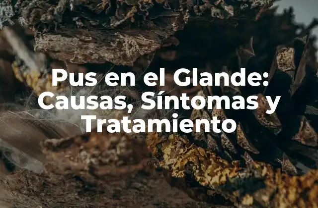 Pus en el Glande: Causas, Síntomas y Tratamiento