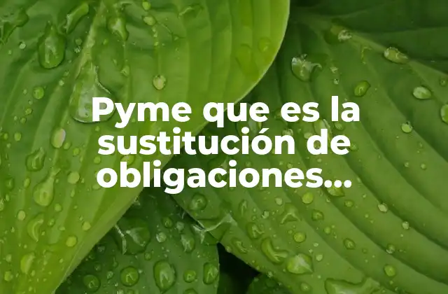 Pyme que es la Sustitución de Obligaciones Financieras el Economista