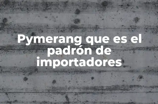 Pymerang que es el Padrón de Importadores