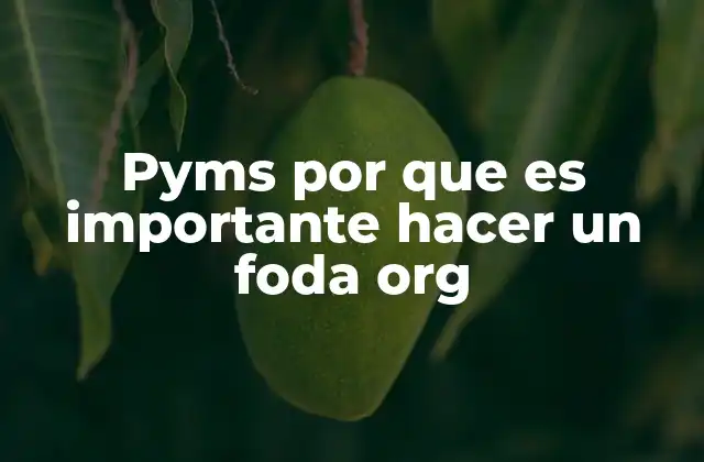Pyms por que es Importante Hacer un Foda Org
