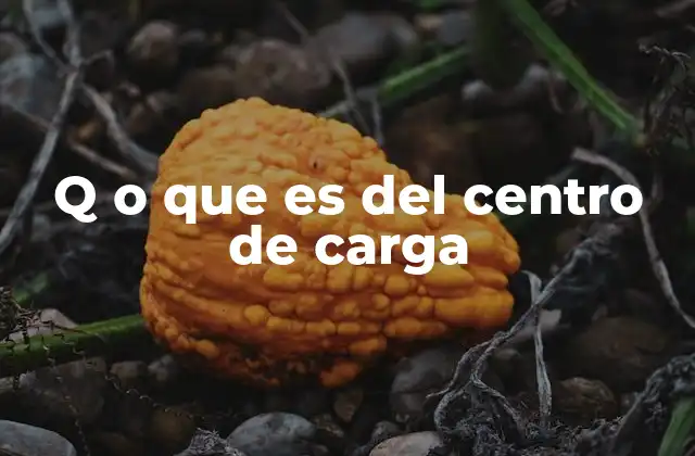 Q o que es Del Centro de Carga