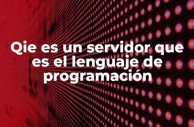 Qie es un Servidor que es el Lenguaje de Programación