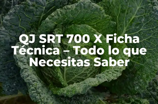Qj Srt 700 X Ficha Técnica – Todo Lo que Necesitas Saber