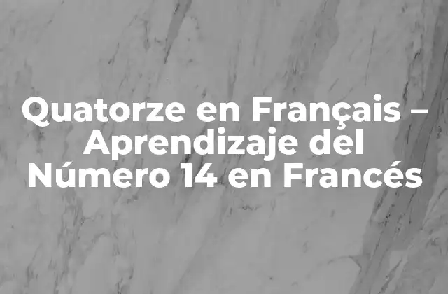 Quatorze en Français – Aprendizaje Del Número 14 en Francés