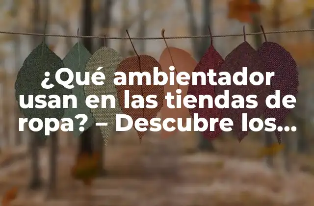 ¿qué Ambientador Usan en las Tiendas de Ropa? – Descubre los Secretos de la Fragancia Comercial