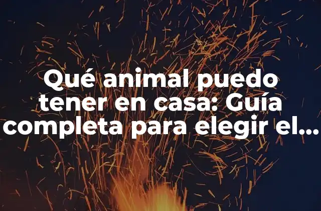 Qué Animal Puedo Tener en Casa: Guía Completa para Elegir el Mejor Compañero