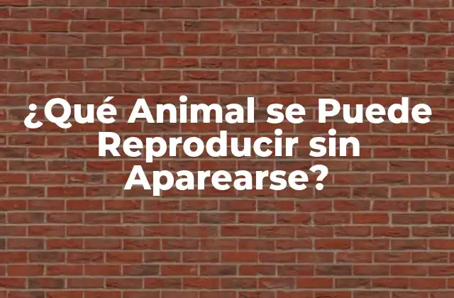 ¿qué Animal Se Puede Reproducir sin Aparearse?