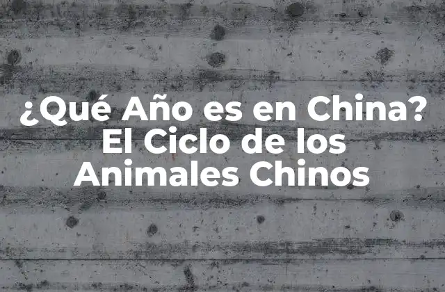 ¿qué Año es en China? el Ciclo de los Animales Chinos