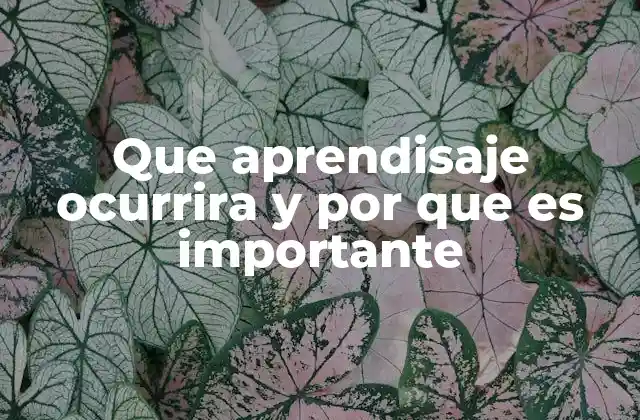 Que Aprendisaje Ocurrira y por que es Importante