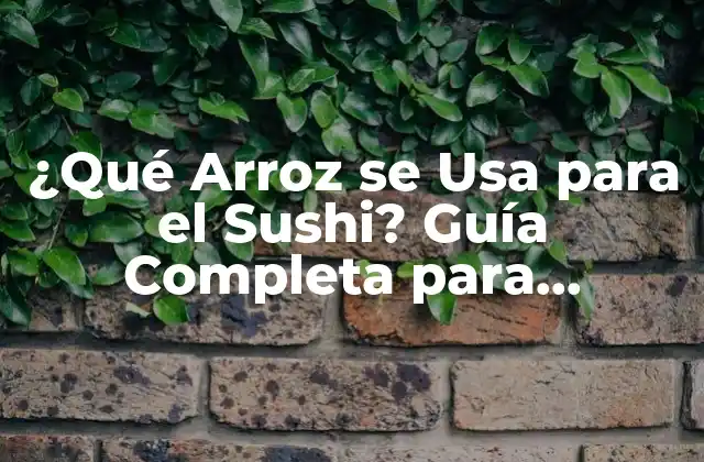 ¿qué Arroz Se Usa para el Sushi? Guía Completa para Preparar Sushi Auténtico