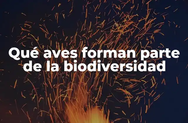 Qué Aves Forman Parte de la Biodiversidad
