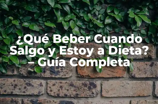 ¿qué Beber Cuando Salgo y Estoy a Dieta? - Guía Completa 2 ¿Qué son las Bebidas Saludables y por Qué son Importantes?