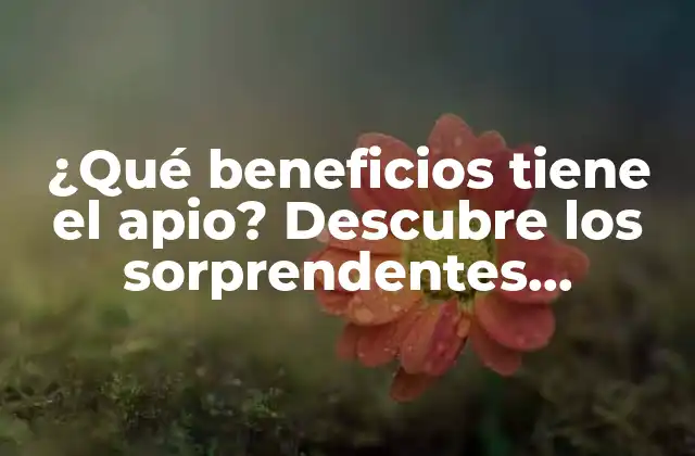 ¿qué Beneficios Tiene el Apio? Descubre los Sorprendentes Beneficios Del Apio para Tu Salud